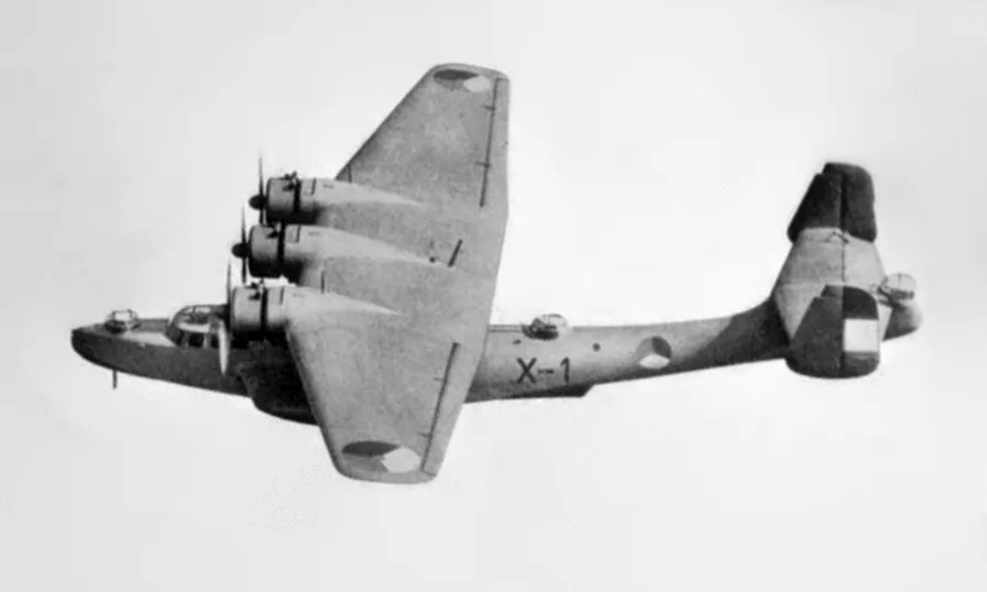 Dornier Do 24