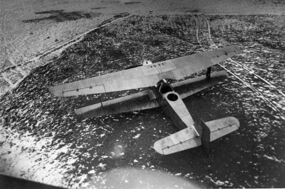 Albatros L 65